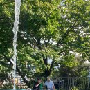 피아골민박 이미지