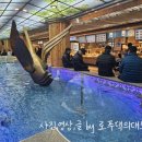 올리브영 대전중앙지하상가점 | 대전중앙지하상가 바로그집｜현지인 추천 피자 맛집 + 오스하우스, 올리브영 대전대흥점