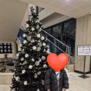 오션트리 호스텔 | 경남 고성 숙소 고성군유스호스텔 내돈내산 방문후기