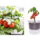 홈가드닝 이미지