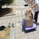 [ 25년, 6월 보름 일기 ] 또 왔어요, 어제도 온 거 같은데 이거 뭐죠?