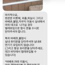 제주감성독채숙소스테이비움