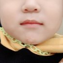 화순 미 의원 이미지