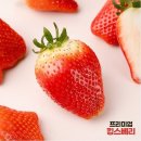 킹스베리 이미지