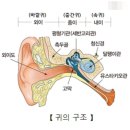이숲한의원 네이버블로그