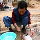 낚시천국 이미지