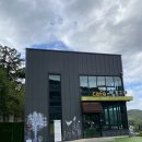 용인 애견 카페 대형 애견동반 카페 별똥구리 후기