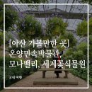 그린꽃식물원 이미지