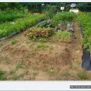 보람농장 이미지