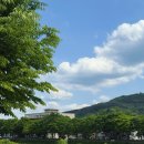 [전주] 2박3일 뚜벅이 여행코스 후기+금액｜한옥마을,촬영지 포토존｜with 디카,폴라로이드 (1)