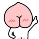 붕붕카마스타 이미지