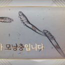 대전사랑용품
