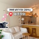 제주무이 | 제주 애월 감성숙소 제주무이 펜션
