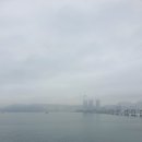 메그네이트비 이미지