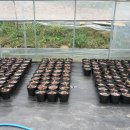 병원농장 이미지