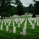 Arlington Cemetery Website Loses Pages on Black Veterans, Women and Civil W 이미지