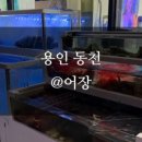 목동천길 이미지