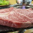 에이스고기빠