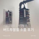 버드투블룸, 서울 인물 중심 웨딩스튜디오 촬영 후기- 소품