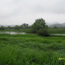 화포천마을 이미지