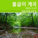 방수보건진료소 | [등산] 흘리계곡~물굽이 계곡~박달나무 쉼터 트레킹(2023. 5. 27)