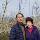 화야평 이미지