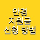 스마트조명지킴이 | 안경 지원금 신청 방법 및 서울 눈건강 지킴이