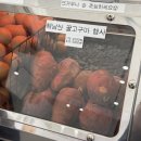 아차산 카페. [청자다방] 군고구마, 구운 계란을 판매하는 이색적인 중곡동 디저트 카페.