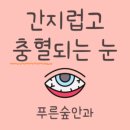 푸른숲안과