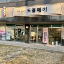 도블헤어 이미지