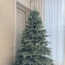 PET.꾸밈 | 크리스마스트리 180cm 후기+구매 꿀팁, 내돈내산💸