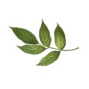 지례초등학교 이미지