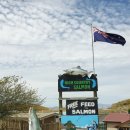 디스모텔 이미지