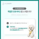 선릉동물병원 이미지