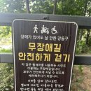 평생학습관 배드민턴장 이미지