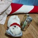 제로비트 이미지