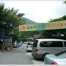 영주고등학교 이미지