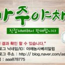 녹산북부카서비스 이미지