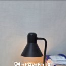 오늘도꽈배기 이미지