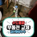 동파유치원 | 금산읍 주택 마당 수도 누수 - 동파 부동전 교체로 해결