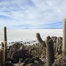 스마일여행사 이미지