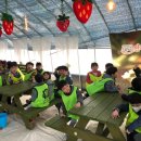 경희대박사태권도교육관 이미지