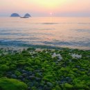 몽돌