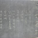 홍랑 이미지