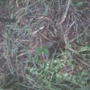 한수농장 이미지