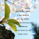 영도주단 이미지