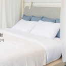 소품앤침구류 이미지