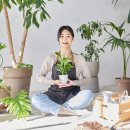 농부원예 이미지