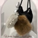 사라보카 이미지