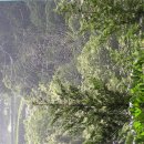 구룡모텔 이미지